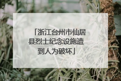浙江台州市仙居县烈士纪念设施遭到人为破坏